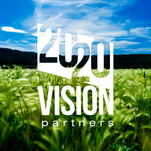 2020 Vision Partner
