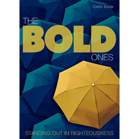 The Bold Ones