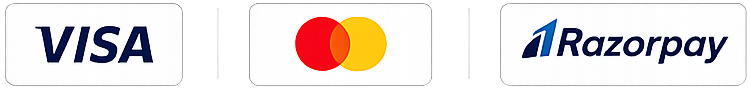 Visa Payment